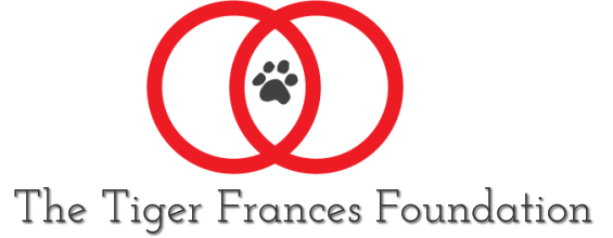 The Tiger Frances Foundation <br />&nbsp;A non profit organization